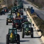 Земедлците в Хасково ще протестират срещу вноса на зърно