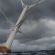 Норвежци предлагат плаваща алуминиева вятърна турбина с необичаен дизайн